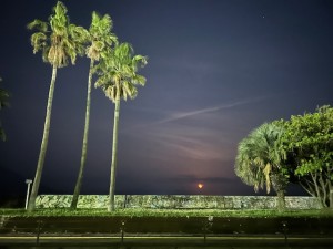 IMG_1892